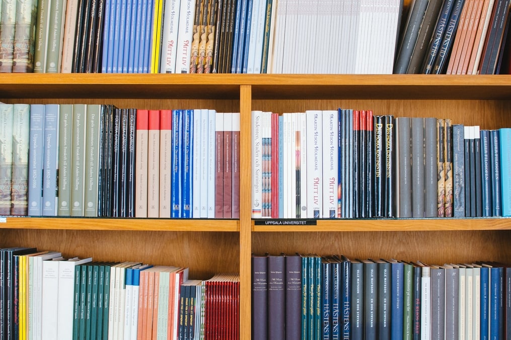 Bookcase with books